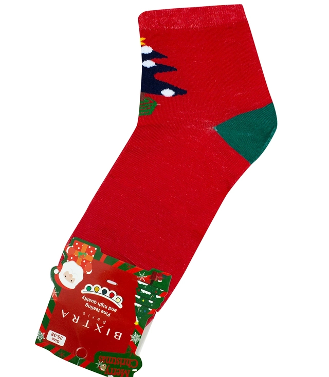 Vánoční ponožky teplé ponožky Dárek SANTA unisex 1 PAIR