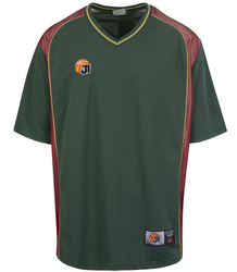 Pánské sportovní tričko TRAINING SHIRT