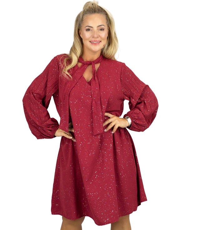 Elegantní třpytivé šaty s okouzlujícími kravatami